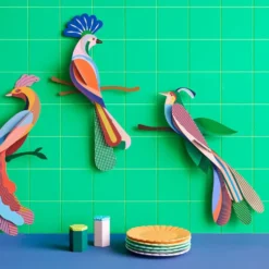 Paradise Bird Maya