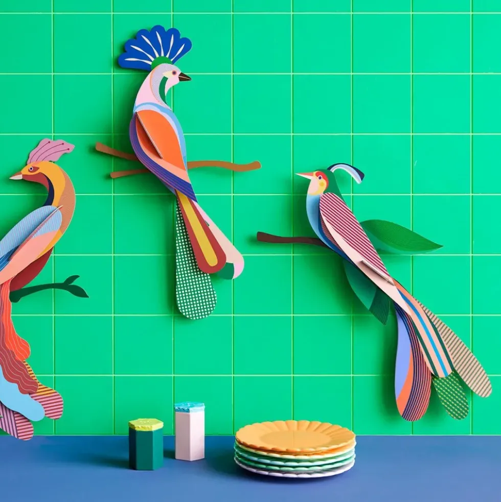 Paradise Bird Maya