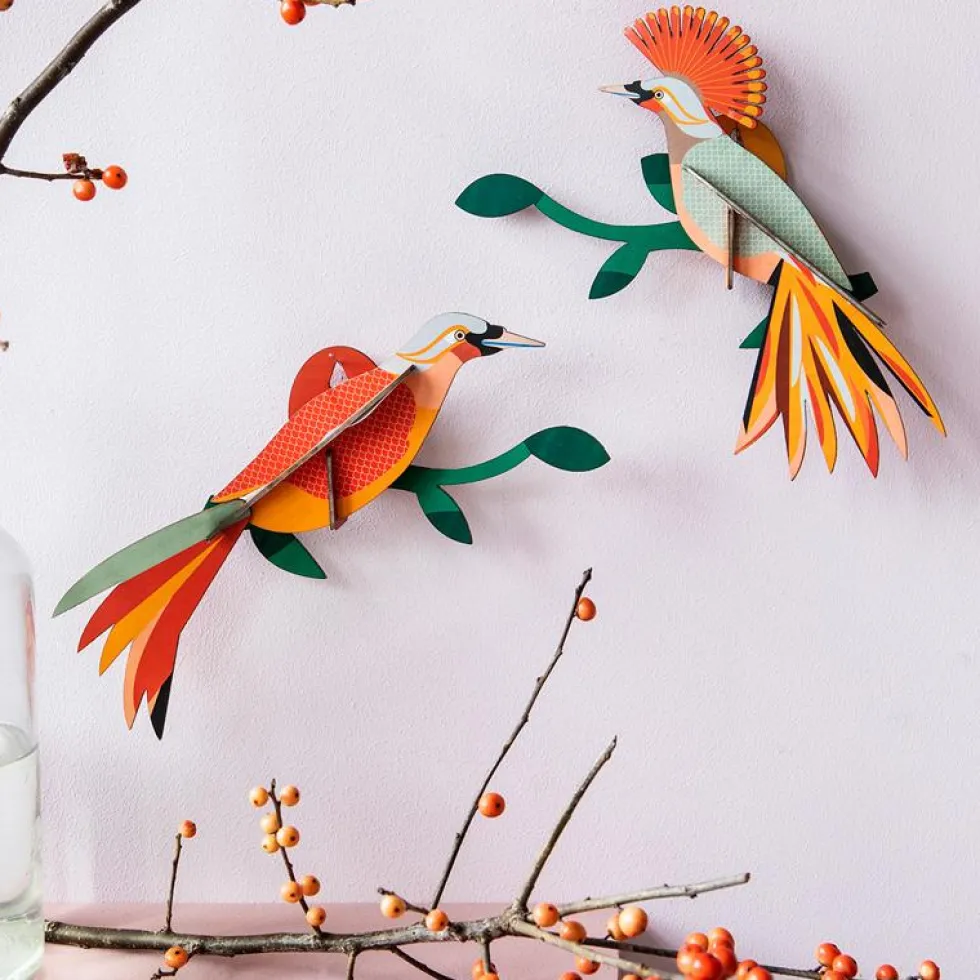 Paradise Bird Obi