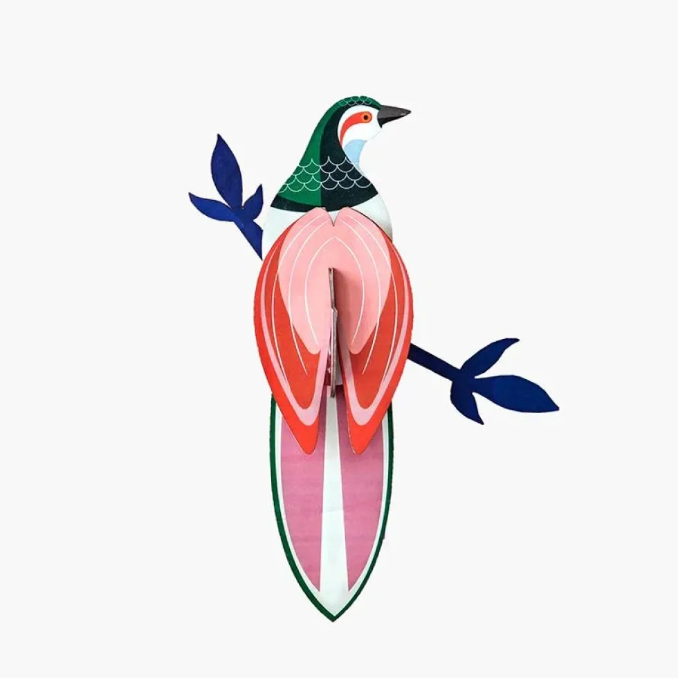 Paradise Bird Rani