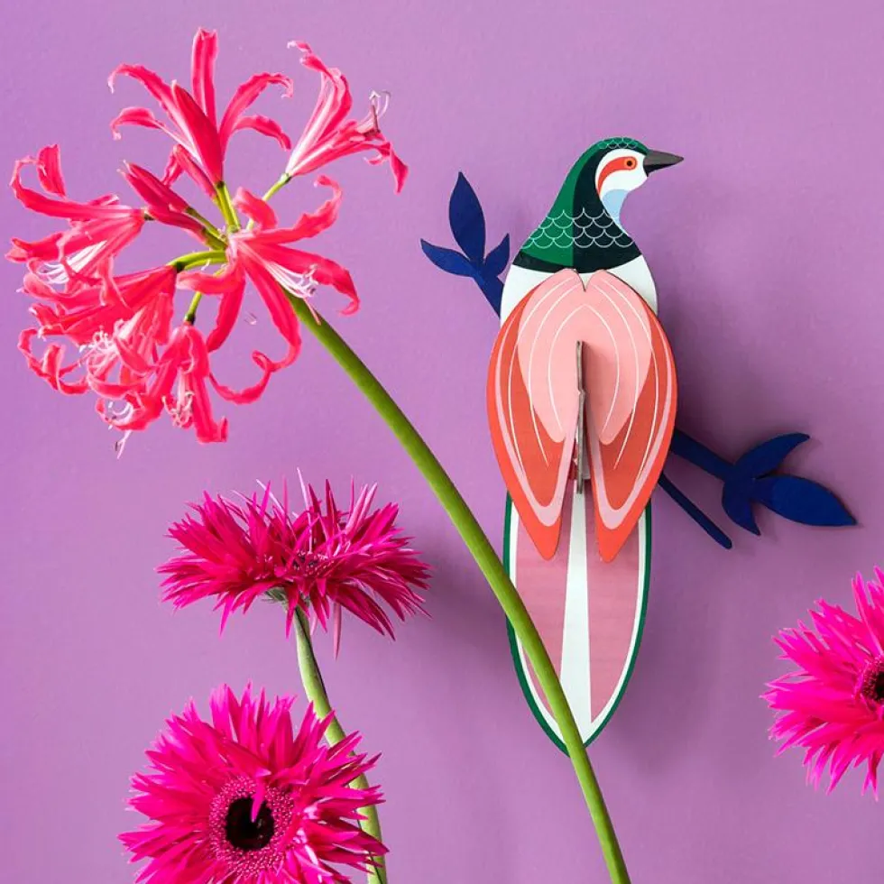 Paradise Bird Rani