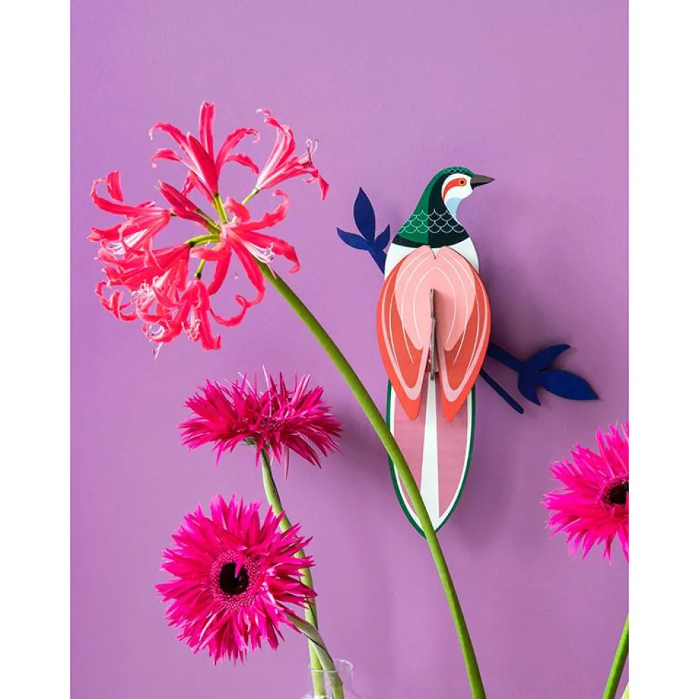 Paradise Bird Rani