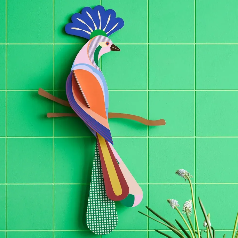 Paradise Bird Tinjil