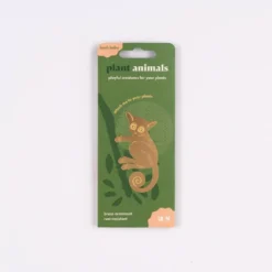 Plant Animal Bush Baby
