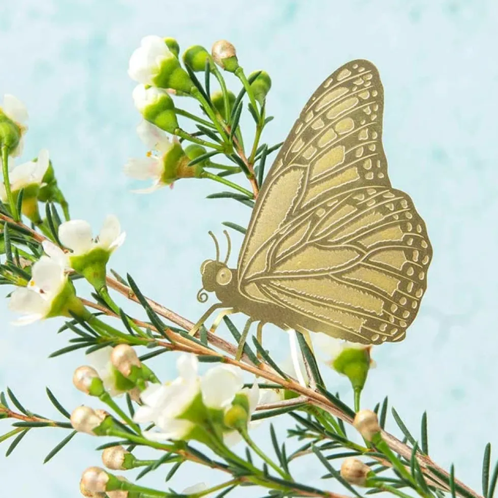 Plant Animal Butterfly