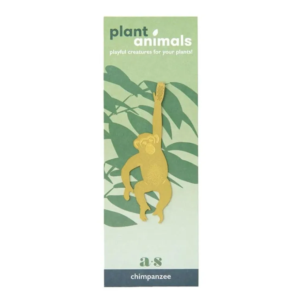 Plant Animal Chimpanzee