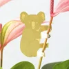 Plant Animal Koala