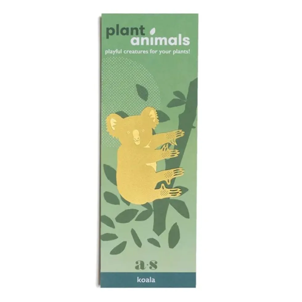 Plant Animal Koala