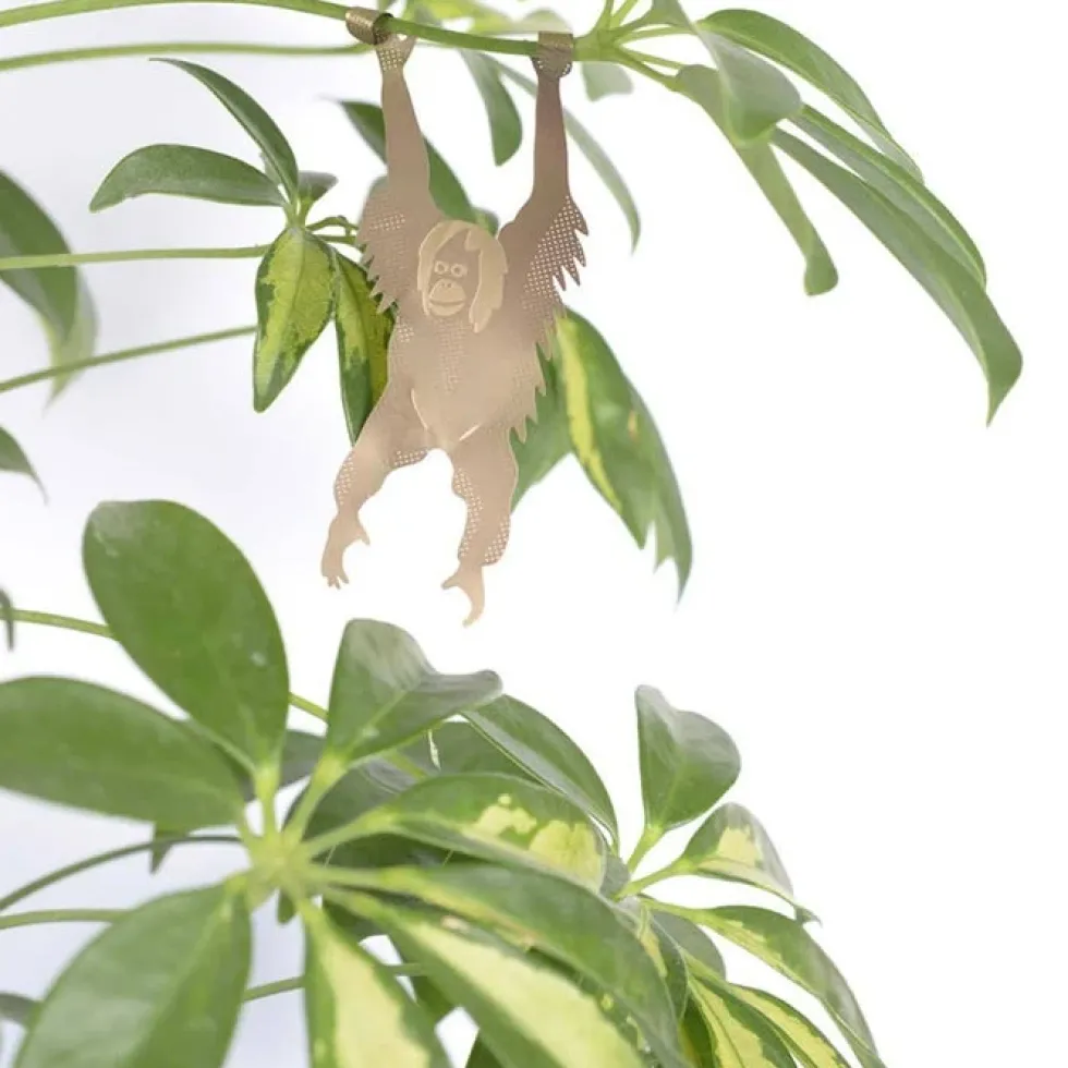 Plant Animal Orangutan