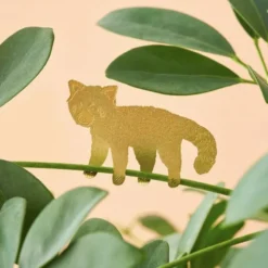 Plant Animal Red Panda