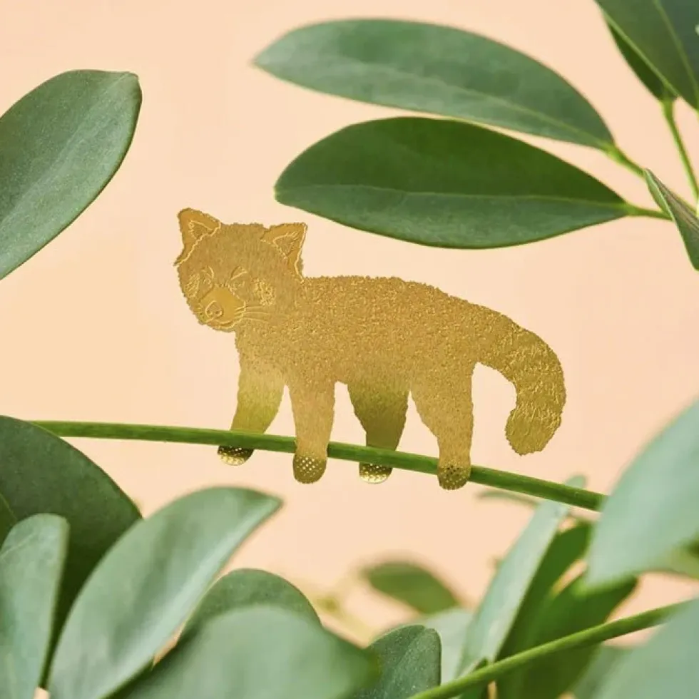 Plant Animal Red Panda
