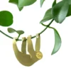 Plant Animal Sloth