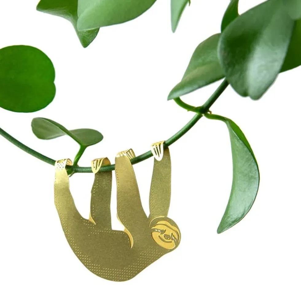 Plant Animal Sloth