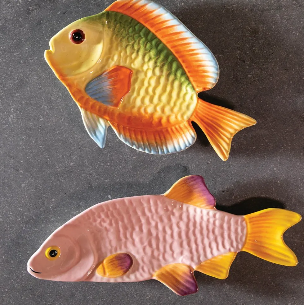 Plato Fish Snapper
