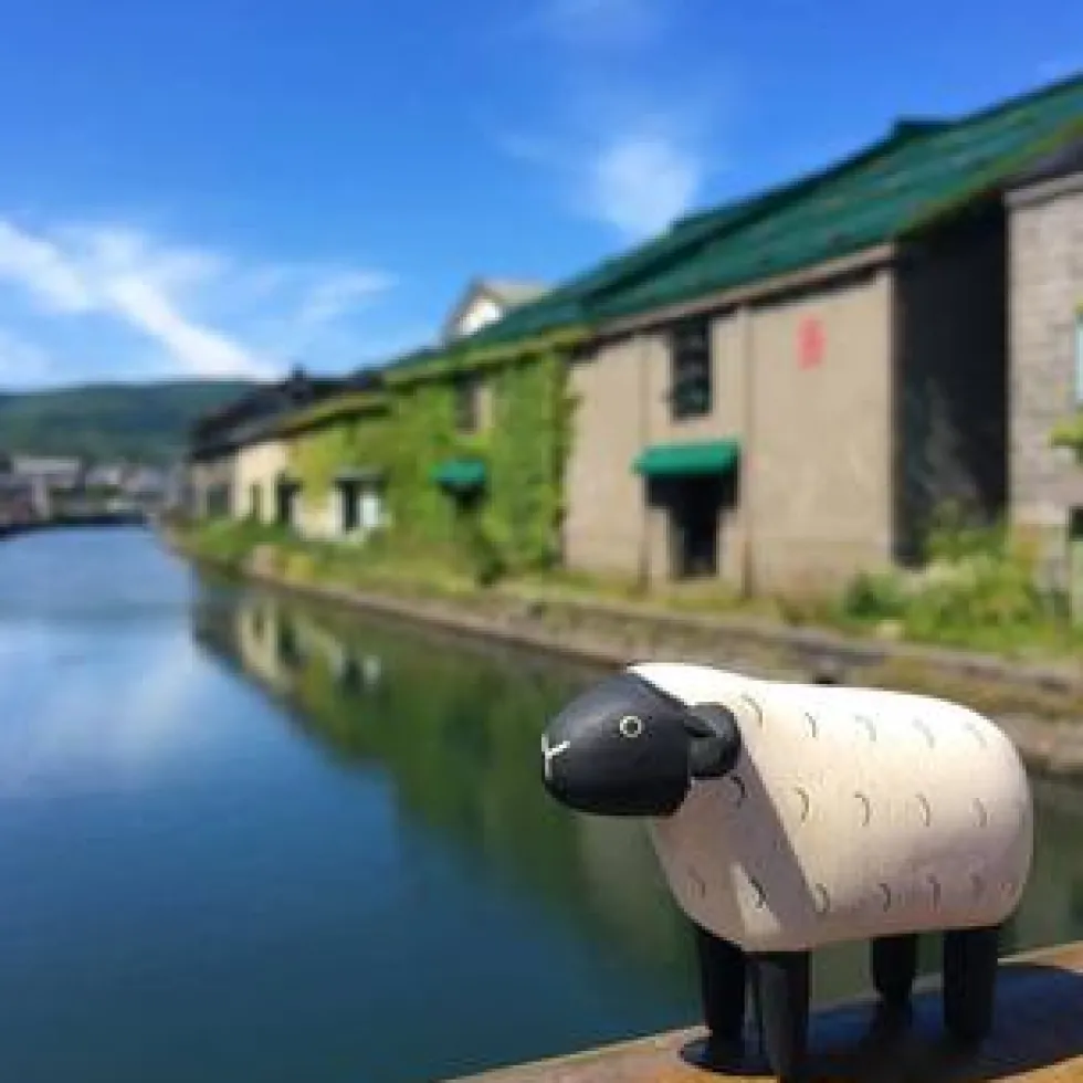Pole Pole Wooden Animal Sheep