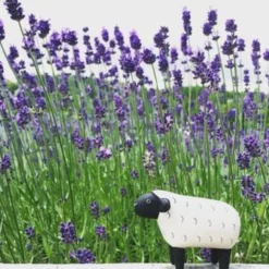 Pole Pole Wooden Animal Sheep