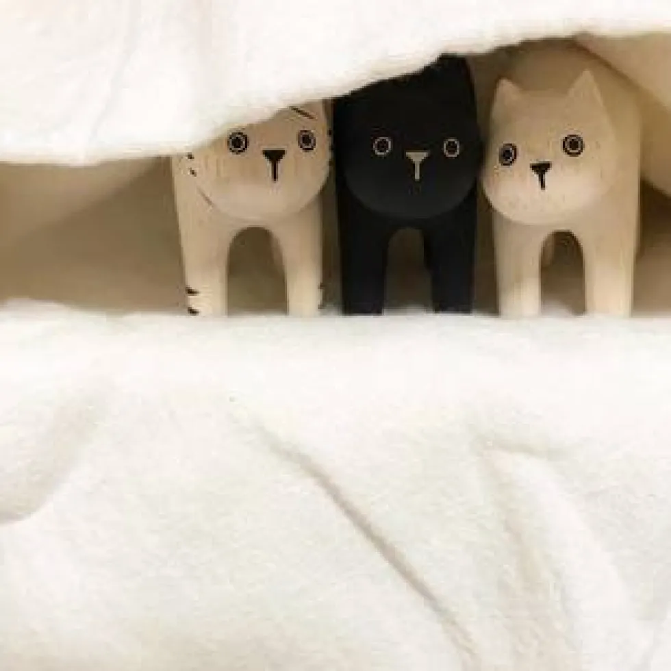 Pole Pole Wooden Animal White Cat