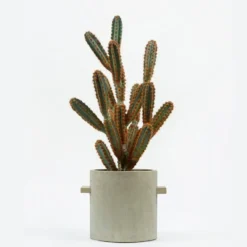 Pot Concrete Rond Naturel S 13x13