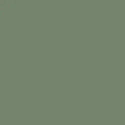 Power Shell - Mossy Green