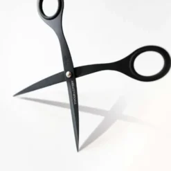 Scissors 6.5