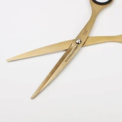 Scissors 6.5