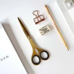 Scissors 6.5