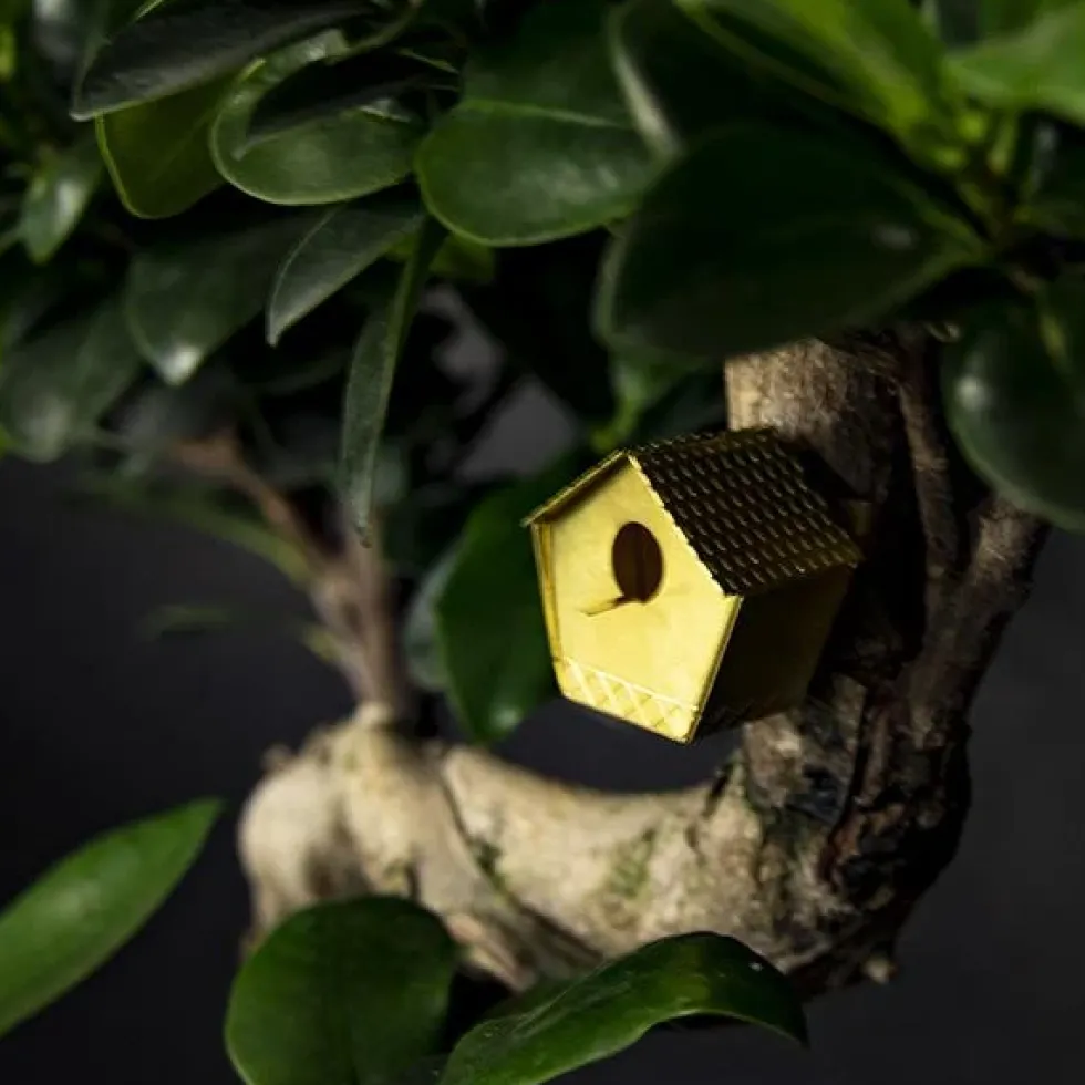 Tiny Birdhouse For Your Plants