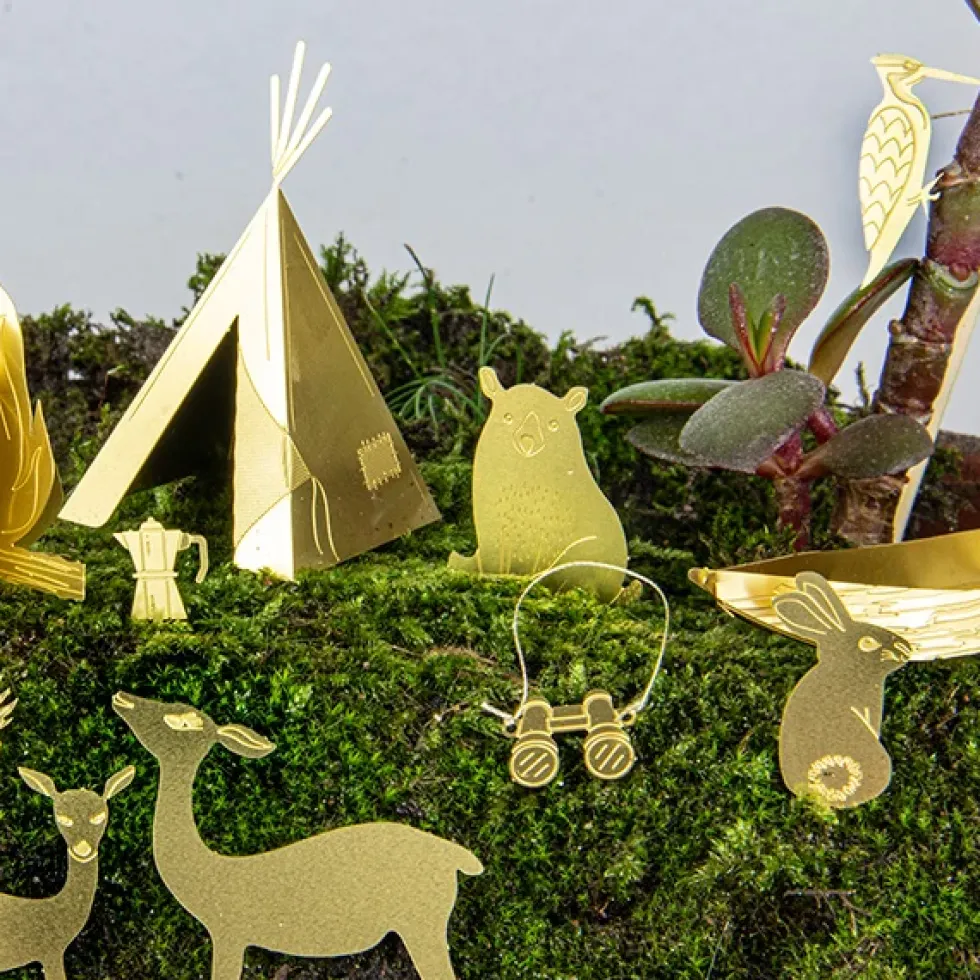 Tiny Camping For Your Plants