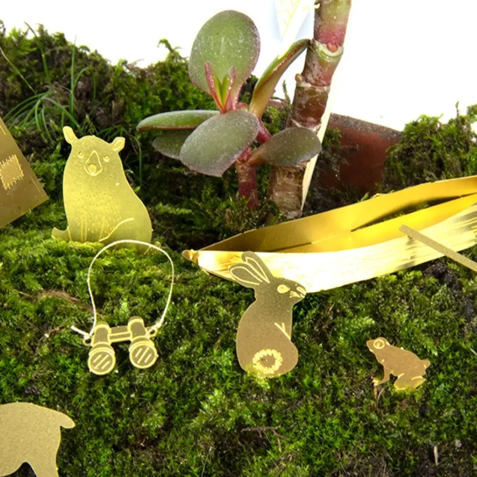 Tiny Camping For Your Plants