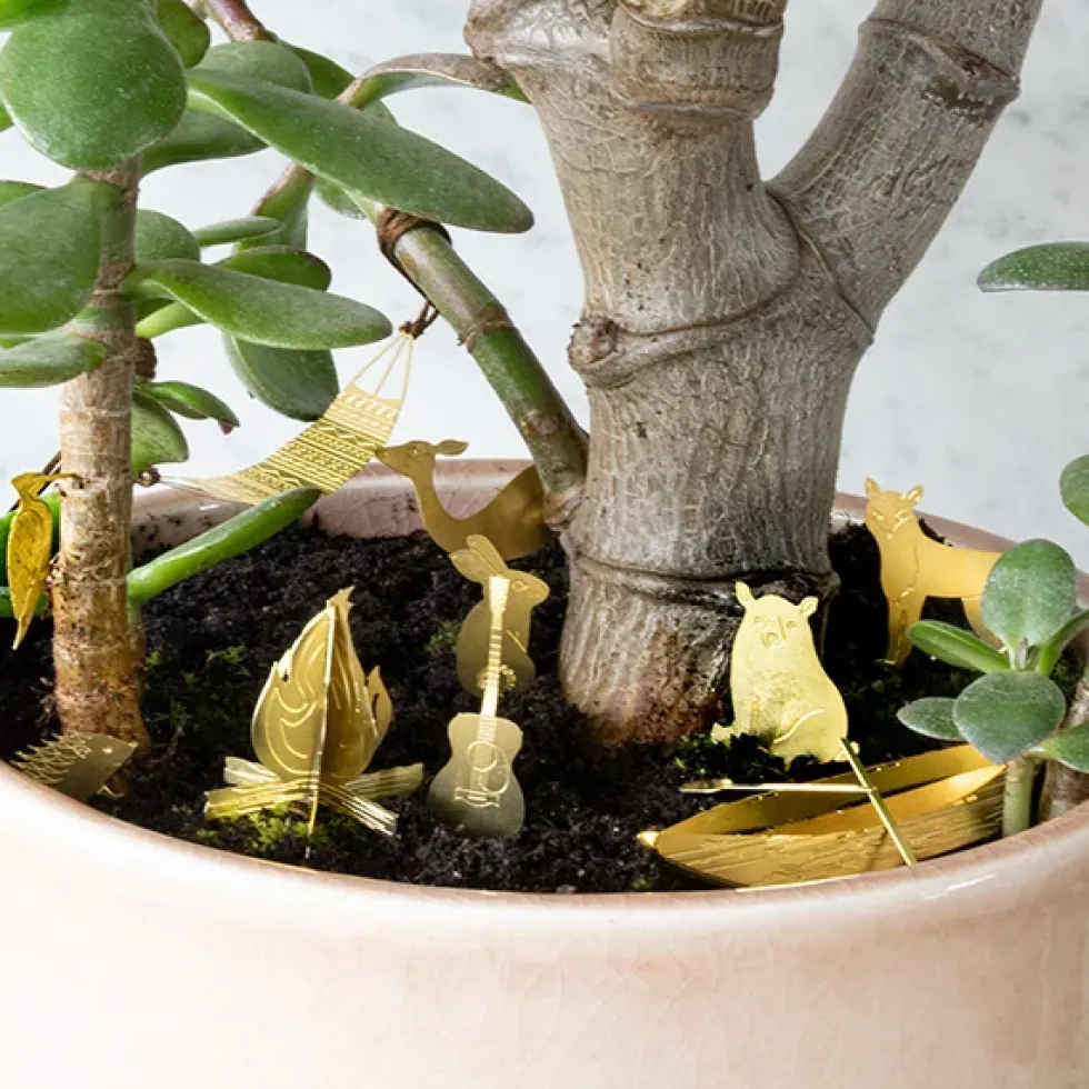 Tiny Camping For Your Plants
