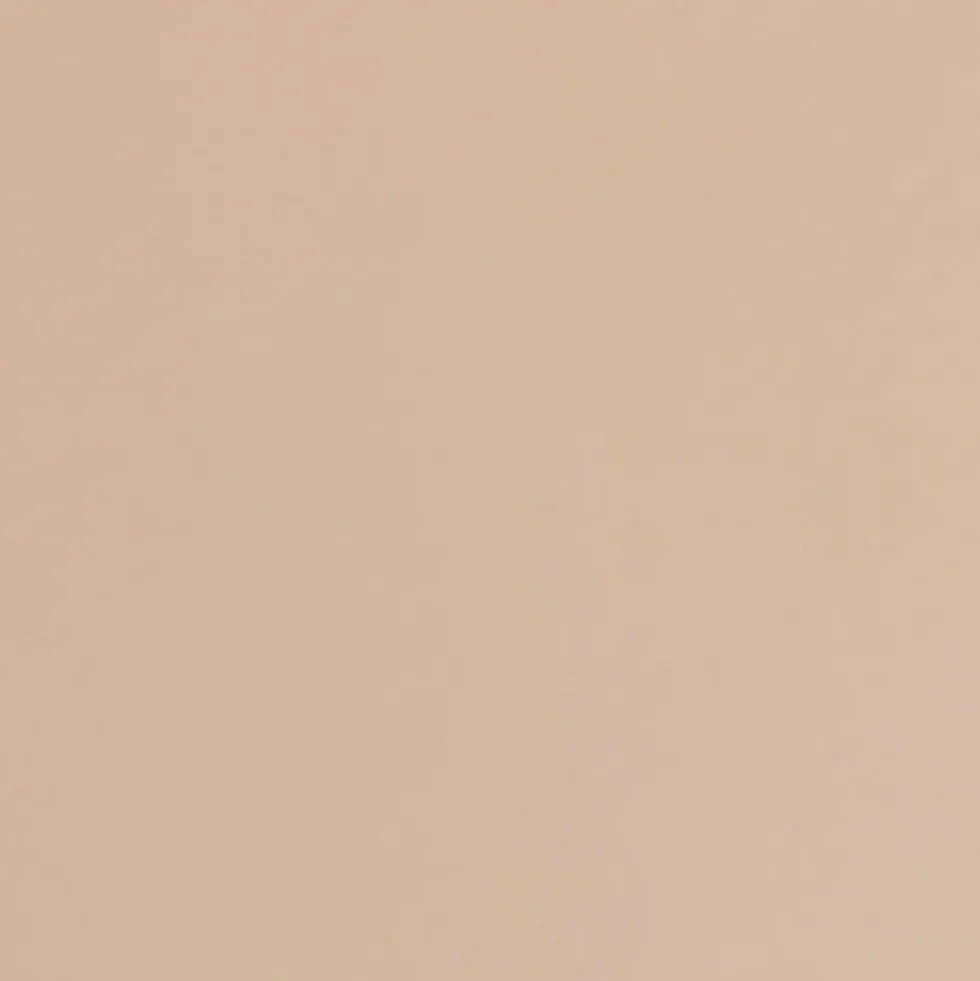 Toolbox ST-350 Beige