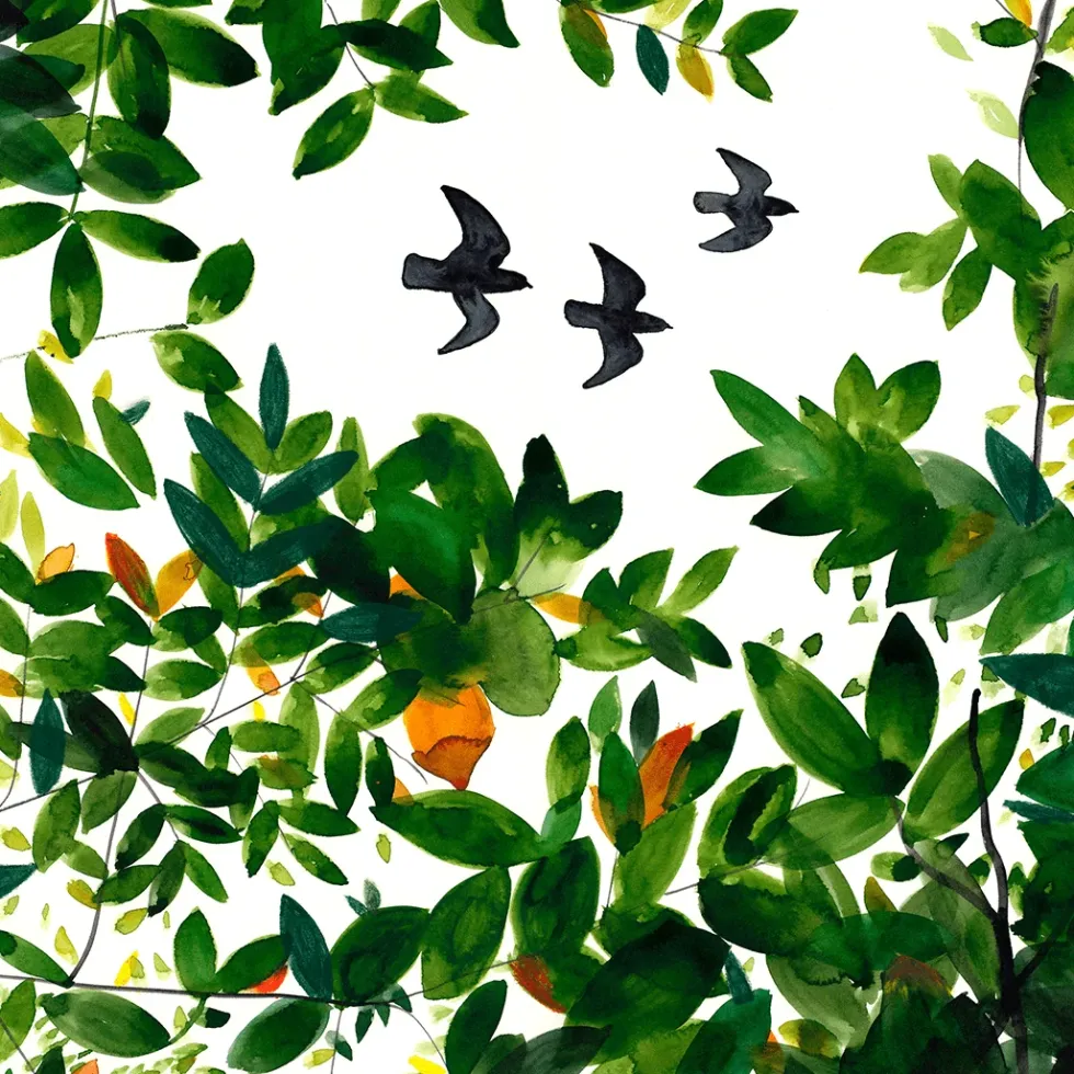 Tree Tops Giclée Print