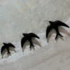 Trio of Black Swallows