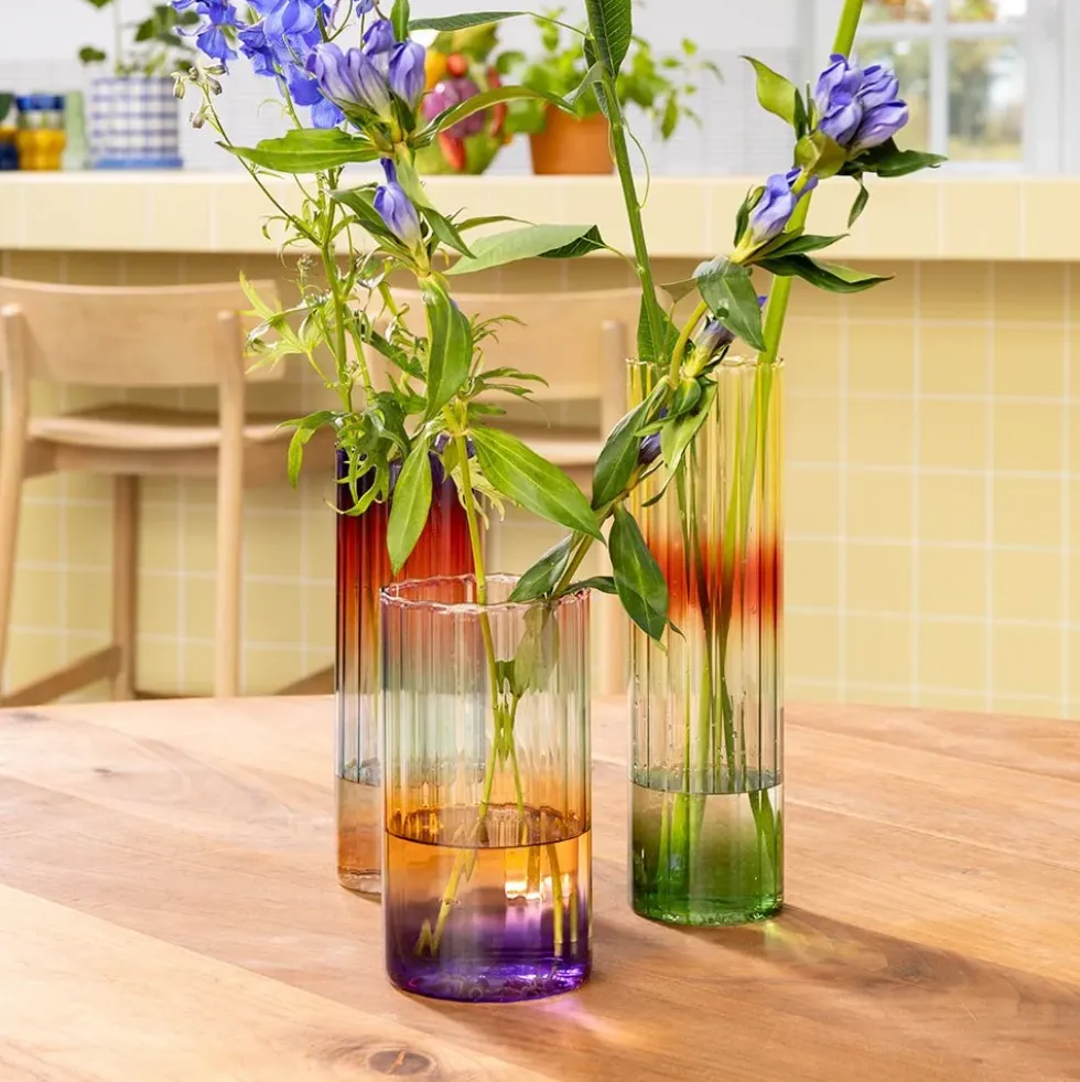 Vase Gradient Evening Wide