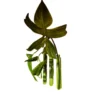 Walleaf Green (set of 3)