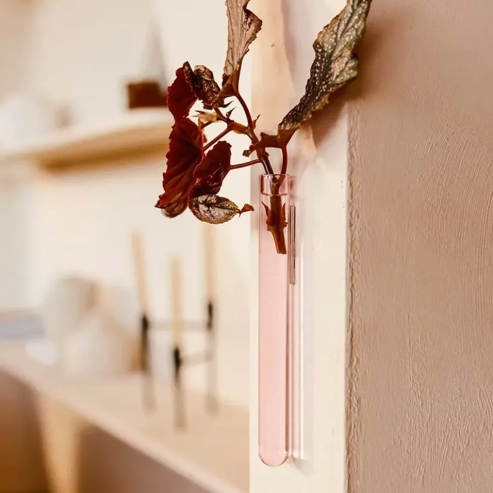 Walleaf Pink (1 piece)