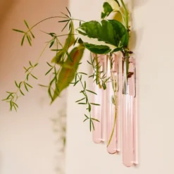 Walleaf Pink (set of 3)