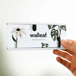 Walleaf Transparent (1 piece)