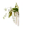 Walleaf Transparent (set of 3)