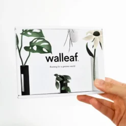 Walleaf Transparent (set of 3)