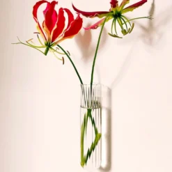 Walleaf XL Clear