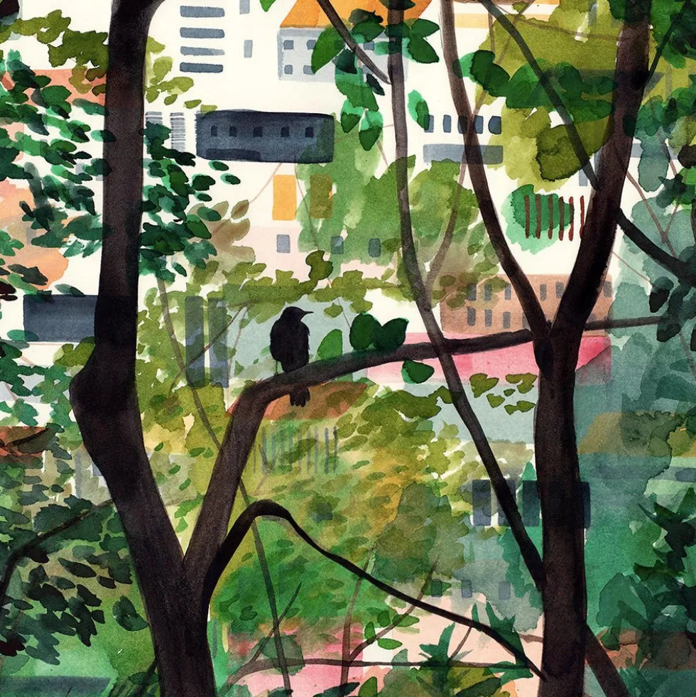 Woods Giclée Print A5